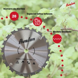 Avalon - 20 Tooth Anti Kickback Disc for Brush Cutter, Special Blade for Wood Logs 255 x 1.6 mm, Widia Tooth Length 6 mm