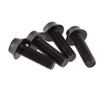 Wolf Tooth Precision Anodized Water Bottle Cage Bolts - 4