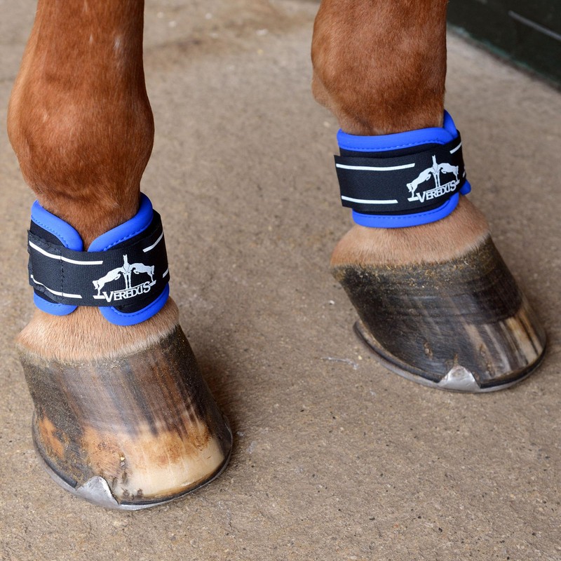 Veredus - fetlock protection PRO WRAP MAGNETIK