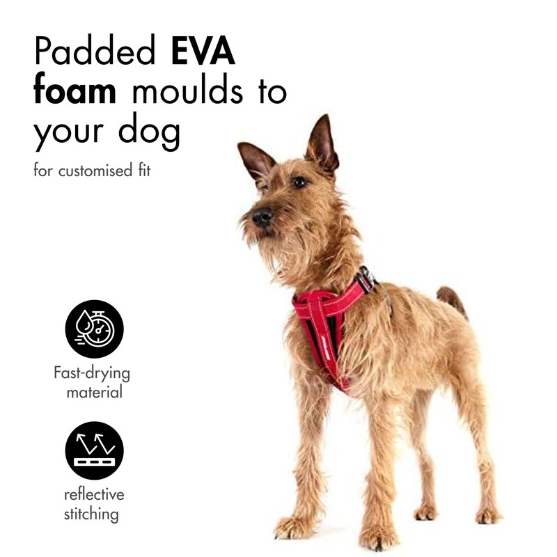 EzyDog Adjustable Chest Plate Harness - Small, Medium, XL, &