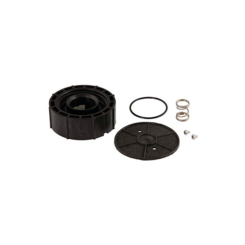 Watts 1" Pressure Vacuum Breaker Bonnet Assembly Kit, 800M4-B