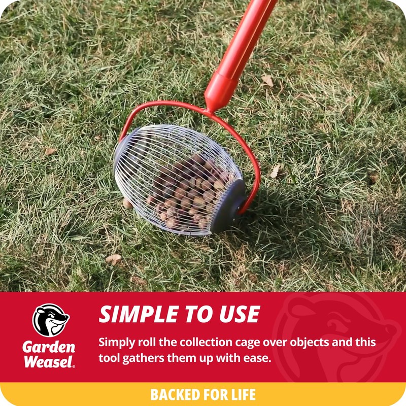 Garden Weasel Nut Gatherer - Small Cage | Pick Up