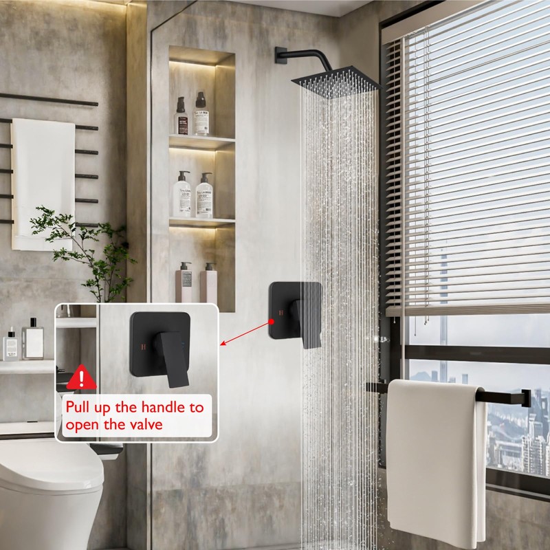 Heyalan 8 Inch Shower Head and Handle Set Square Shower