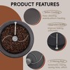 Upgrade Electric Coffee Bean Roaster 110V/800W 1.6Lb Capacity with Timer