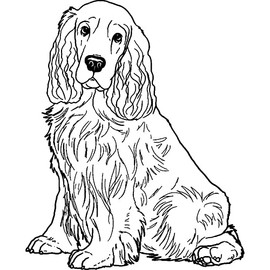 Azeeda A8 'Cocker Spaniel' Unmounted Rubber Stamp (RS00039063)