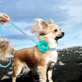 PET ARTIST Rhinestone Dog Collar and Leash Set, Sparkling Boy Dog Collars with Bling Diamonds, Soft Leather Blue Dog Collar for Male Dogs, Cute Flower Dog Collar for Small Puppy Dogs,S