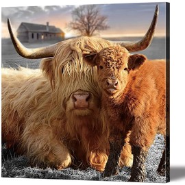 Highland Cow Canvas Wall Art Animal Print Pictures Highland Fluffy Cattle Photo Framed Farmhouse Painting 12x12 inches for Home Decor…