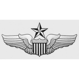 USAF AIR FORCE SENIOR PILOT WING  5.5 INCH MILITARY DECAL STICKER  MILITARY