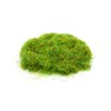 Stonehaven Miniatures Static Grass, Bright Green - 2mm Length Fibers