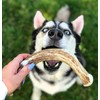 Perfect Pet Chews Deer Antler Dog Chew - Grade A,