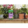 Miracle-Gro Water Soluble Bloom Booster Flower Food - Big Blooms