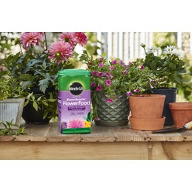 Miracle-Gro Water Soluble Bloom Booster Flower Food - Big Blooms for Vibrant Color, 5.5 lb.