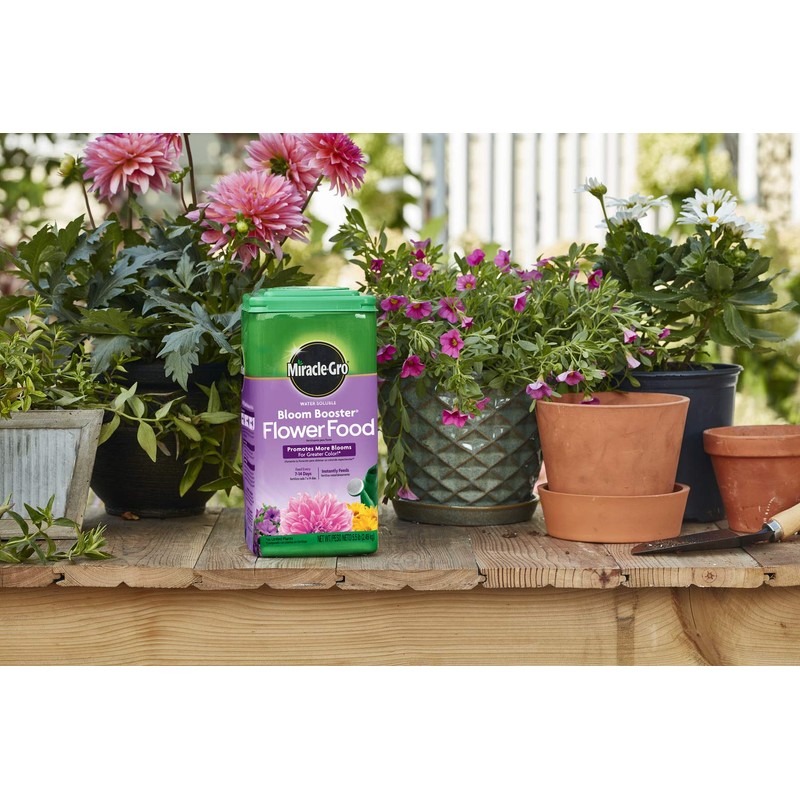 Miracle-Gro Water Soluble Bloom Booster Flower Food - Big Blooms