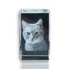 VIP-LASER 2D Glaskristall (Größe: L) mit Deinem Foto/Tierfoto/Katzen oder Hunde-Foto