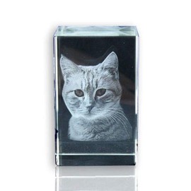 VIP-LASER 2D Glaskristall (Größe: L) mit Deinem Foto/Tierfoto/Katzen oder Hunde-Foto und Text (60x40x40mm)