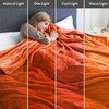IR Imperial Rooms Fleece Blanket - Super Soft Fluffy Throw