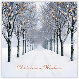 GBCC Charity Christmas Cards Pack of 10 - Charity Christmas Cards 2024 with Snowy Avenue of Trees Scene - Eco-Friendly Xmas Cards Multipack with Envelopes