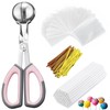 Cake Pop Kit, 100 Cake Pop Sticks, 100 Cake Pop