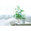 Seiko KR522W Alarm Clock, Analog Temperature/Humidity Display, White, 4.4 x