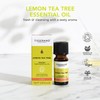 Tisserand Aromatherapy Lemon Tea-Tree Organic Essential Oil 9 ml