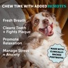 Pet Honesty Calming Fresh Sticks for Dogs – Dental Chews