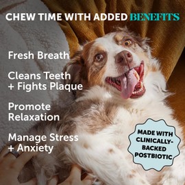Pet Honesty Calming Fresh Sticks for Dogs – Dental Chews to Support Relaxed Behavior, Oral Health, and Fresh Breath – (30 ct)
