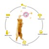 Windmill Spring Interactive Cat Catnip Toy Funny Cat Turntable Teasing
