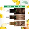 Garnier Color Naturals - 7.1 Ash Blond