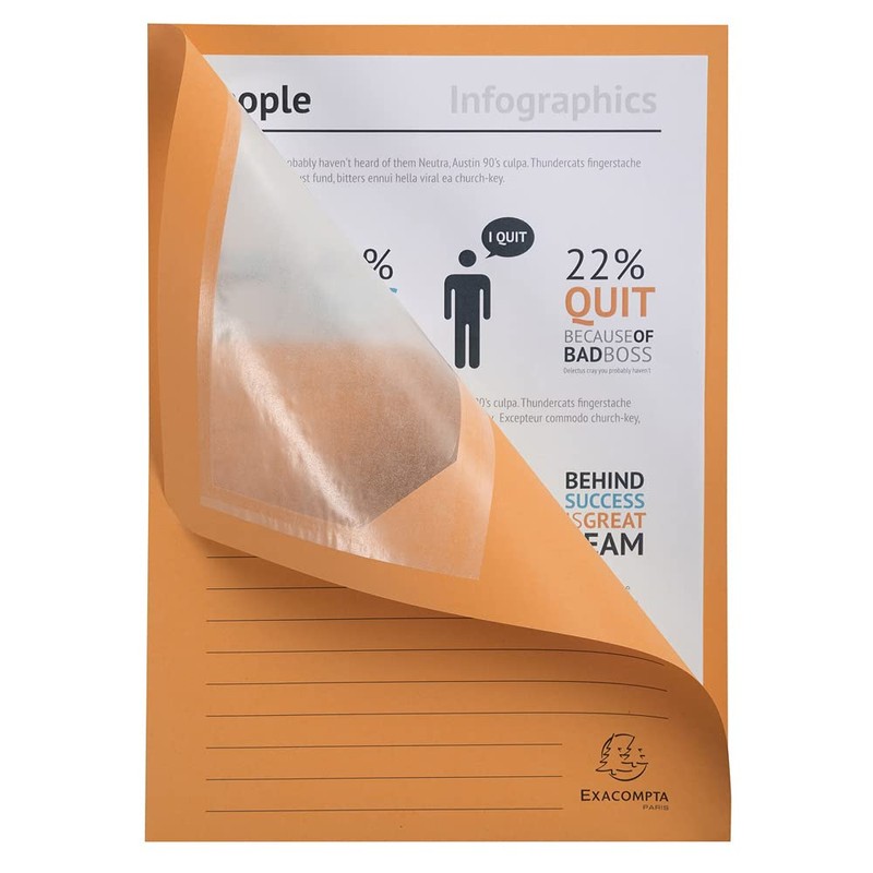 Exacompta 50250E Pack of 25 Window Folders Super PEFC Certified