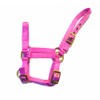 Rhinegold Nylon Foal Headcollar - Pink