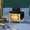 Feather Pen Set with 10 Interchangeable Nib Fire Lacquer Wax