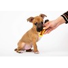 Hartz Chew 'n Clean Dental Duo Bacon Flavored Dental Dog