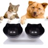 Raised Feeding Bowl, Cat Bowl, Tilted Cat Bowl, Raised Double