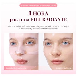EQQUALBERRY Mascarilla Facial en Lmina Collagen PDRN Mask - Coreana con Colgeno, PDRN, Pptidos y cido Hialurnico, Hidratante                          
