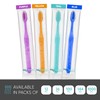 Pruvade 100 Pack Disposable Toothbrushes with Toothpaste Built in |
