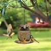 Bird Feeders for Outdoors Hanging Wild Birds Seed, Metal Waterproof