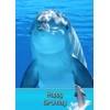 Dolphin Birthday Card