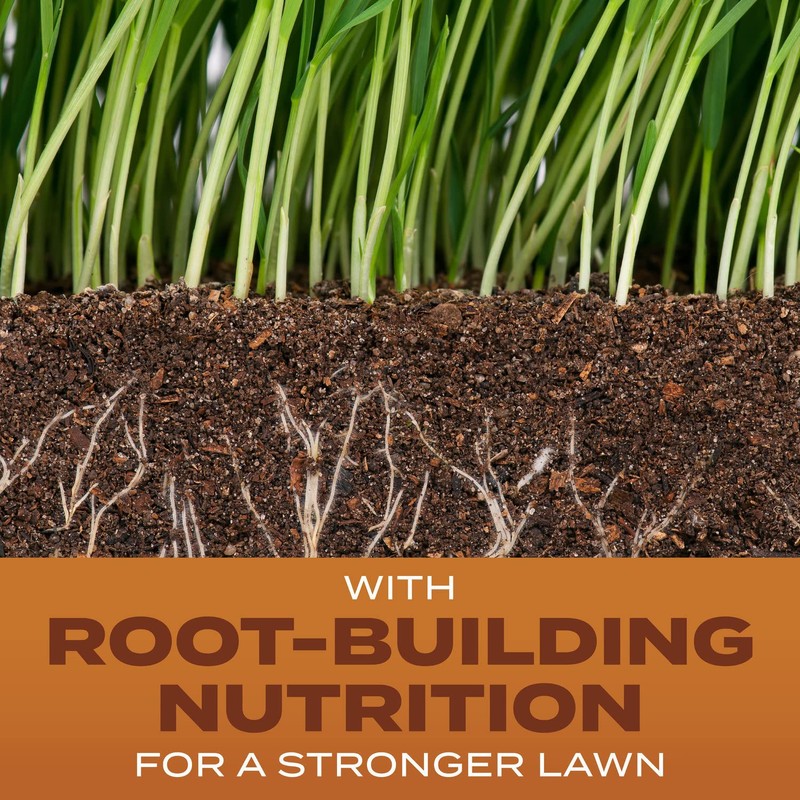 Scotts Turf Builder Grass Seed High Traffic Mix with Fertilizer