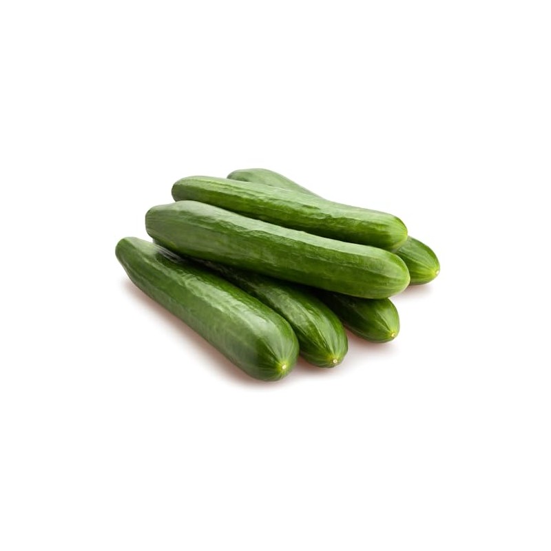 Cucumber-Burpless Bush Slicer F1 (50 Seeds)