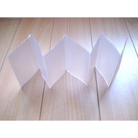 Trifold or Bifold Wallet Accordian Insert (7 Pages)