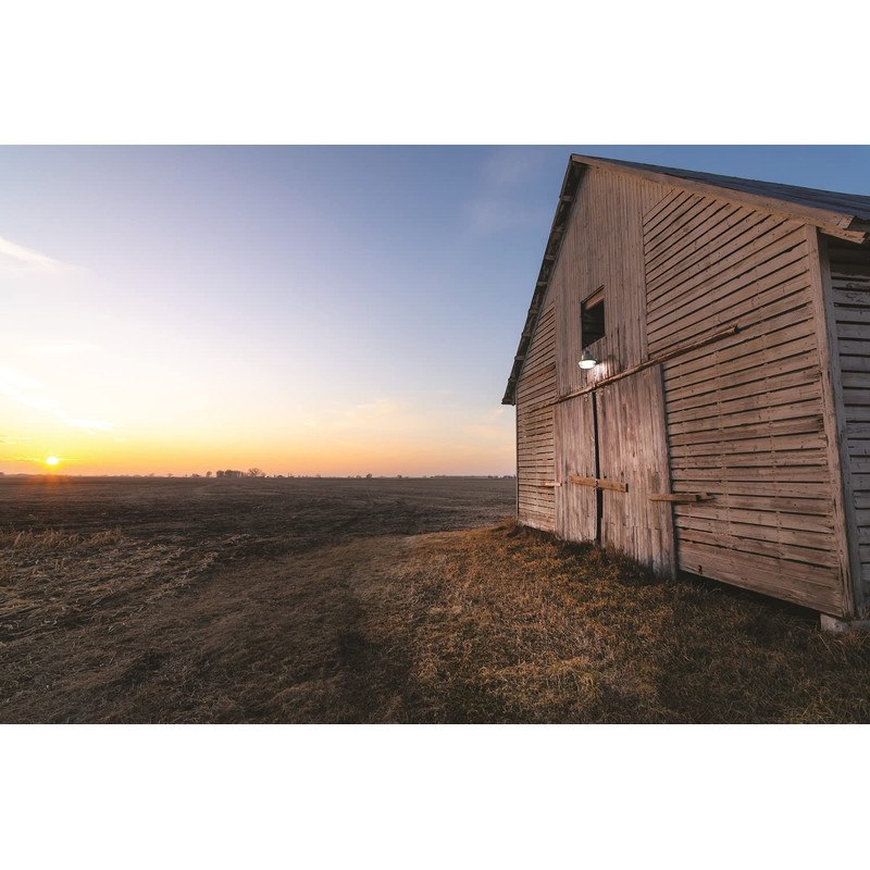 Lithonia Lighting BarnGuard LED Barn Light, Dusk to Dawn Outdoor