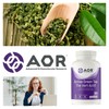 advanced orthomolecular research AOR Active Green Tea 700mg, 180 Caps