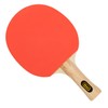 Idena 40202 Table Tennis Bat Training with Wooden Handle and