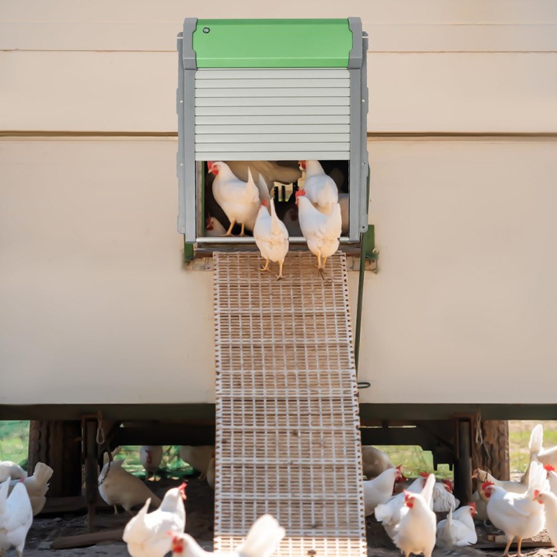 CNCEST Automatic Chicken Coop Door Solar Powered,Smart Anti-Pinch Aluminum Automatic