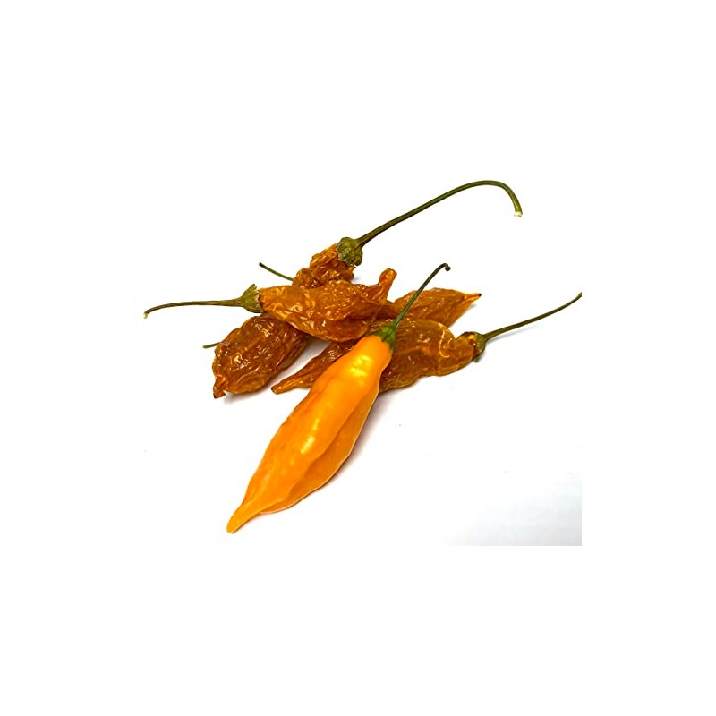 Aji Mango Qillu Uchu Peruvian Seasoning Pepper Dried Whole Pods