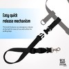 The Buddy System Adjustable Hands Free Dog Leash, Hand-Free Leash