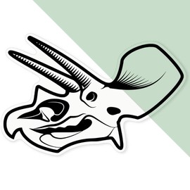 Extra Large 460mm 'Skull Dinosaur' Transparent/Clear Sticker Decal for Windows/Cars/Walls (DC00133455)