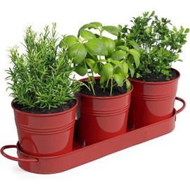 BSTMOME Herb Pot Planter Set with Tray, Decorative Metal Flower Pot Succulent Pots Windowsill Planter Pots for Kitchen Grow Indoor Garden Outdoor Use (Red)
