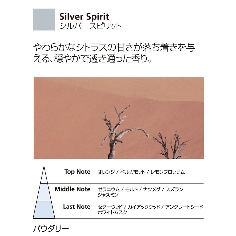 Car Icons Silver Spirit Millefiori Refill Pack
