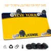 Anti Theft License Plate Screws, Anti Theft License Plate Frame